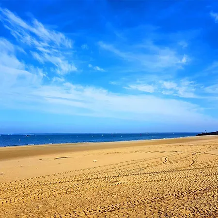 Apartment Centre - Grand T3 Calme, Lumineux Avec Terrasse Et Parking, Proche Plages Et Commerces - Fr-1-420-8 Arcachon