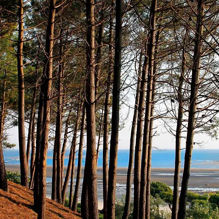 Centre - Grand T3 Calme, Lumineux Avec Terrasse Et Parking, Proche Plages Et Commerces * Arcachon