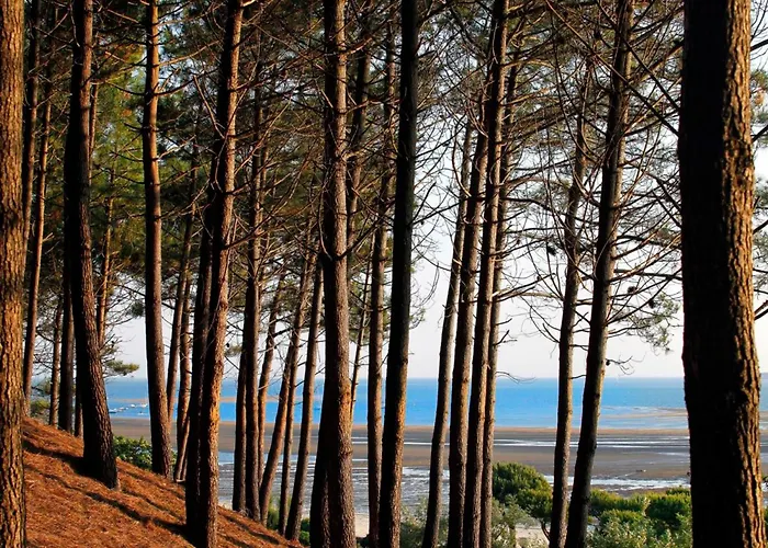 Centre - Grand T3 Calme, Lumineux Avec Terrasse Et Parking, Proche Plages Et Commerces - Fr-1-420-8 * Arcachon